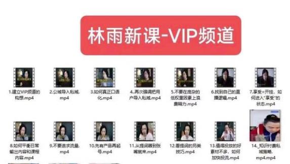 林雨新课VIP频道，玩赚私域/朋友圈/社群-观智斋电商课程站