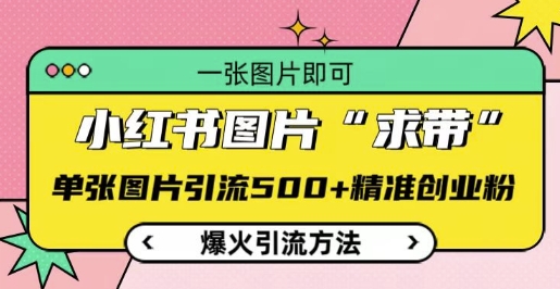 小红书图片‘求带’爆火引流法，单张图片引流500+精准创业粉【揭秘】-观智斋电商课程站