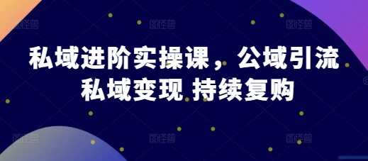私域进阶实操课，公域引流 私域变现 持续复购-观智斋电商课程站