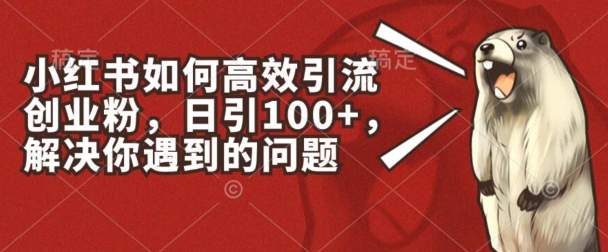 小红书如何高效引流创业粉，日引100+，解决你遇到的问题【揭秘】-观智斋电商课程站