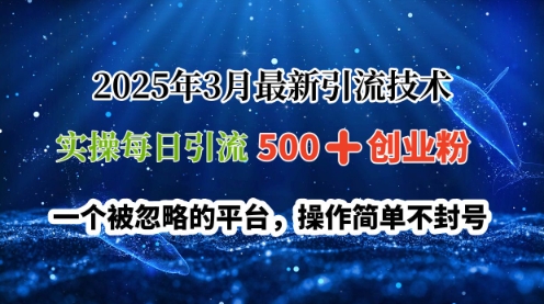 2025年3月最新引流技术，实操每日引流500+创业粉，一个被忽略的平台，操作简单不封号-观智斋电商课程站