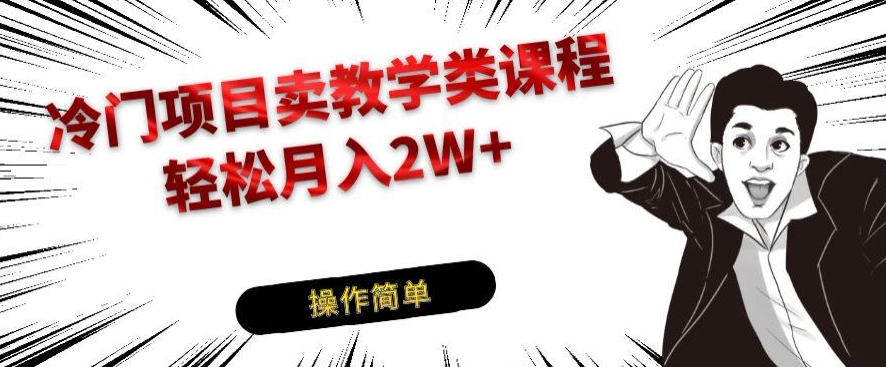 冷门项目卖教学类课程，轻松月入2W+-观智斋电商课程站