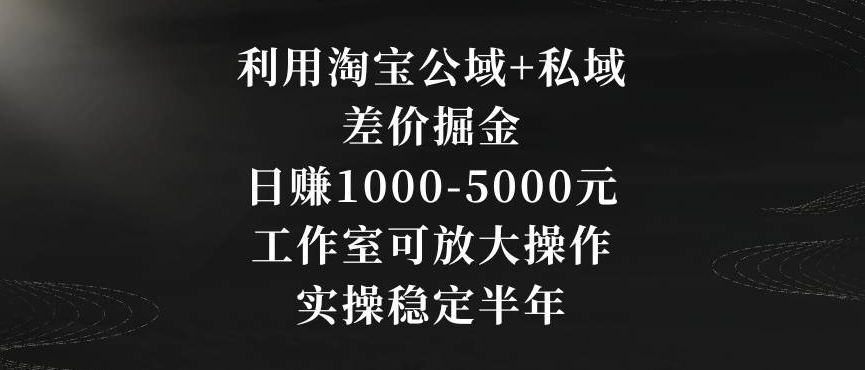 利用淘宝公域+私域差价掘金，日赚1000-5000元，工作室可放大操作，实操稳定半年【揭秘】-观智斋电商课程站
