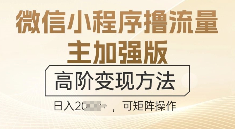 微信小程序撸流量主加强版，高阶变现方法，日收益多张-观智斋电商课程站