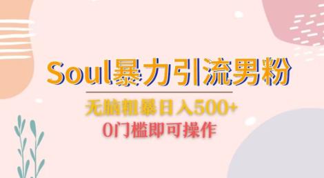 Soul暴力引流男粉玩法，无脑粗暴日入500＋，0门槛即可操作【揭秘】-观智斋电商课程站