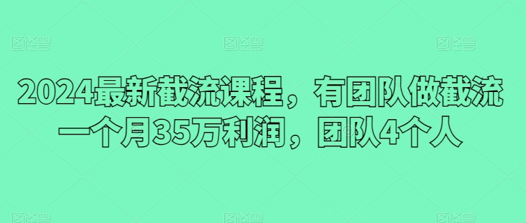 2024最新截流课程，有团队做截流一个月35万利润，团队4个人-观智斋电商课程站