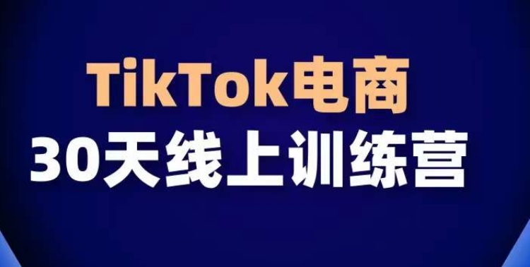 TikTok电商带货30天线上课，不可错过的全球流量洼地！-观智斋电商课程站