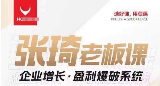【组合课】张琦张琦老板企业增长·盈利爆破系统（直播专享）-观智斋电商课程站
