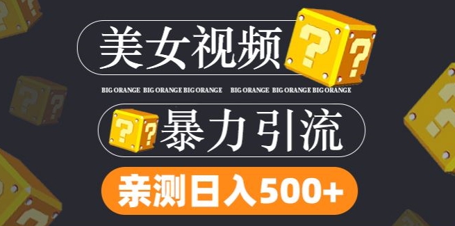 搬运tk美女视频全网分发，日引s粉300+，轻松变现，不限流量不封号【揭秘】-观智斋电商课程站