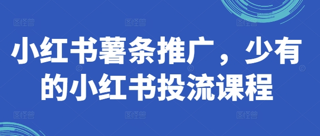 小红书薯条推广，少有的小红书投流课程-观智斋电商课程站