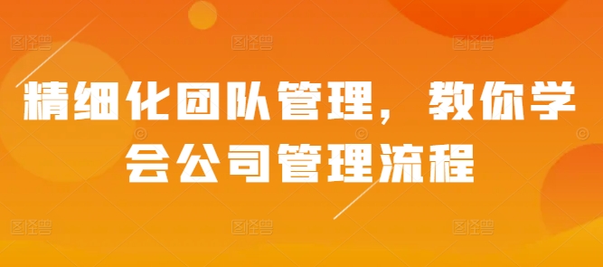 精细化团队管理，教你学会公司管理流程-观智斋电商课程站