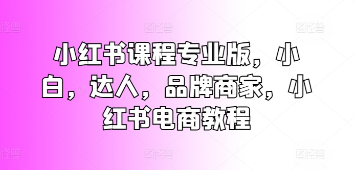 小红书课程专业版，小白，达人，品牌商家，小红书电商教程-观智斋电商课程站