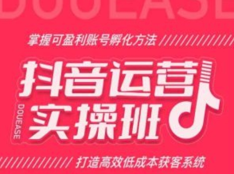 抖音运营实操班，掌握可盈利账号孵化方法，打造高效低成本获客系统-观智斋电商课程站