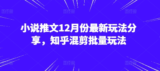 小说推文12月份最新玩法分享，知乎混剪批量玩法-观智斋电商课程站