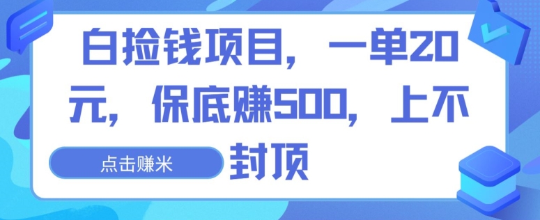 白捡钱项目，一单20元，保底赚500，上不封顶-观智斋电商课程站