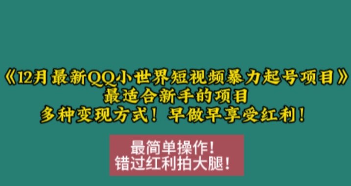 12月最新QQ小世界短视频暴力起号项目，最适合新手的项目，多种变现方式-观智斋电商课程站