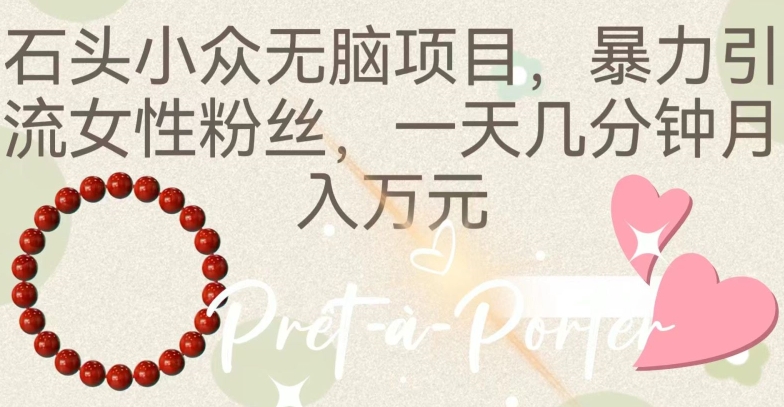 石头小众无脑项目，暴力引流女性粉丝，一天几分钟月入万元-观智斋电商课程站