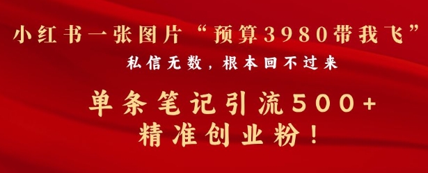 小红书一张图暴力引流500+精准创业粉-观智斋电商课程站