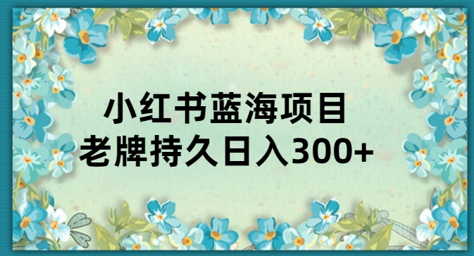 小红书老牌项目，新手小白值得操作，日入300+-观智斋电商课程站