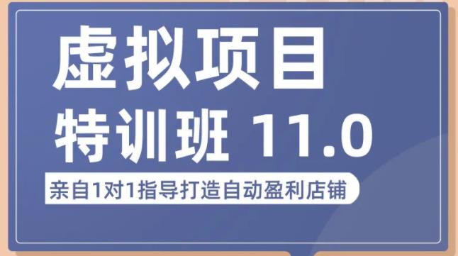陆明明·虚拟项目特训班（10.0+11.0），0成本获取虚拟素材，0基础打造自动盈利店铺-观智斋电商课程站