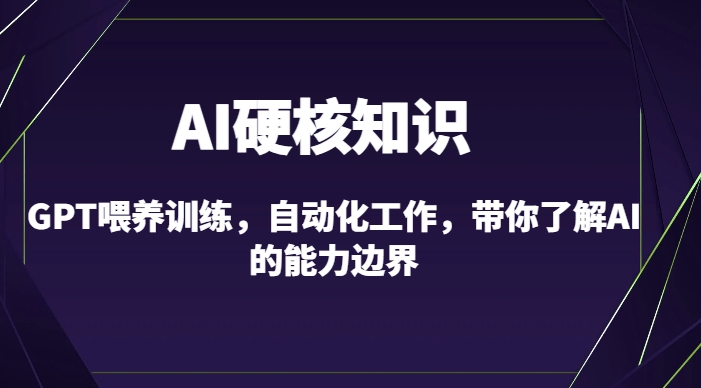 AI硬核知识-GPT喂养训练，自动化工作，带你了解AI的能力边界（10节课）-观智斋电商课程站