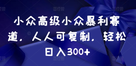 小众暴利赛道，人人可复制，轻松日入300+-观智斋电商课程站