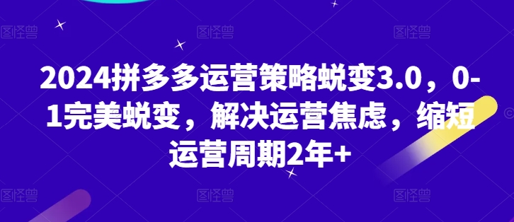 2024拼多多运营策略蜕变3.0，0-1完美蜕变，解决运营焦虑，缩短运营周期2年+-观智斋电商课程站