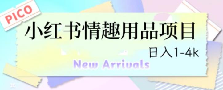 最新小红书情趣用品项目，日入1-4k【仅揭秘】-观智斋电商课程站