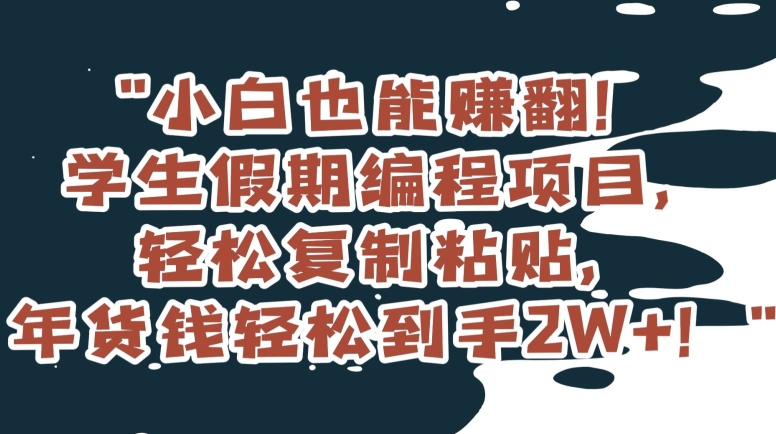 小白也能赚翻！学生假期编程项目，轻松复制粘贴，年货钱轻松到手2W+【揭秘】-观智斋电商课程站