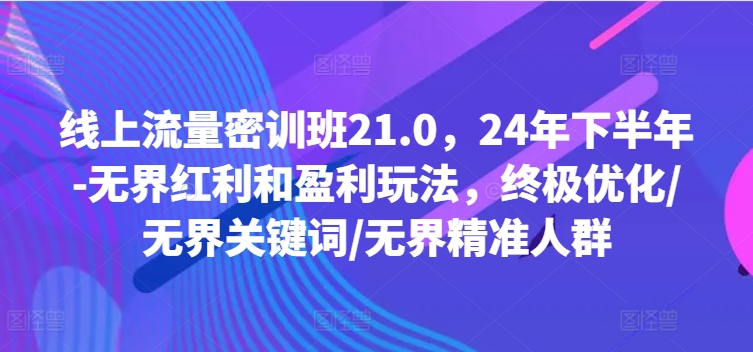 线上流量密训班21.0，24年下半年-无界红利和盈利玩法，终极优化/无界关键词/无界精准人群-观智斋电商课程站
