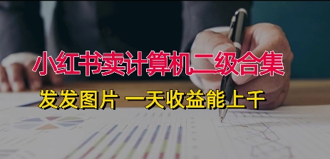 小红书卖计算机二级合集，发发图片 一天收益能上千-观智斋电商课程站