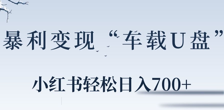 小红书“车载U盘”暴利引流，日入700+-观智斋电商课程站