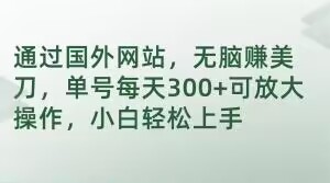 通过国外网站，无脑赚美刀，单号每天300+可放大操作，小白轻松上手【揭秘】-观智斋电商课程站