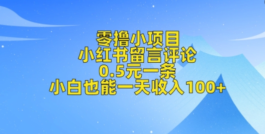 零撸小项目，小红书留言评论，0.5元一条，小白也能一天收入100+-观智斋电商课程站