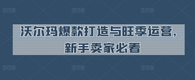 沃尔玛爆款打造与旺季运营，新手卖家必看-观智斋电商课程站