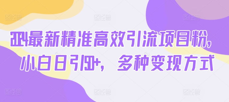 2024最新精准高效引流项目粉，小白日引50+，多种变现方式-观智斋电商课程站