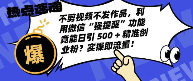 不剪视频不发作品，视频号私信日引 500 + 精准创业粉?实操即流量!-观智斋电商课程站