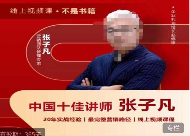 张子凡·20年实战经验，揭秘营销背后的底层逻辑，突破思维局限，从根本上破解营销难题-观智斋电商课程站
