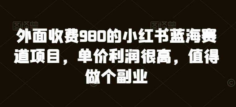 外面收费980的小红书蓝海赛道项目，单价利润很高，值得做个副业-观智斋电商课程站
