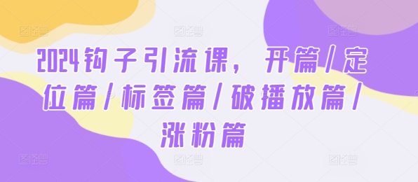 2024钩子引流课，开篇/定位篇/标签篇/破播放篇/涨粉篇-观智斋电商课程站