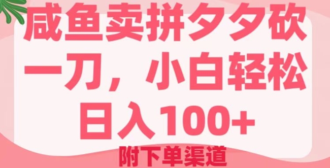 闲鱼卖拼多多砍一刀，小白轻松日入100+(附下单渠道)-观智斋电商课程站