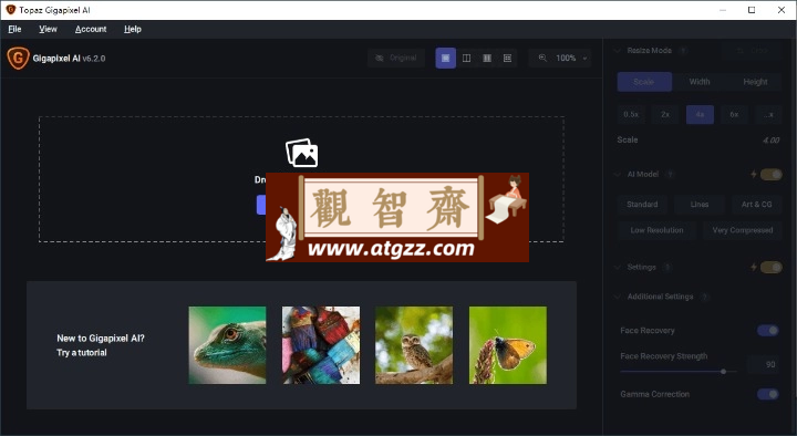 图片无损放大Topaz Gigapixel AI-观智斋电商课程站