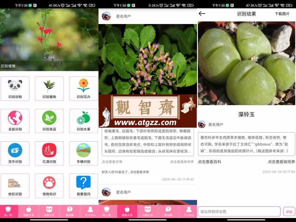 拍照识物v1.0 一款全能的拍照识别物品的软件-观智斋电商课程站