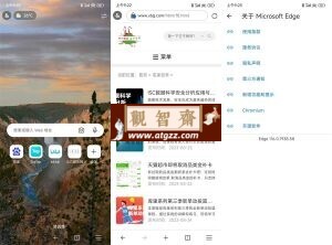 微软Edge浏览器 v120.0.2210.115-观智斋电商课程站
