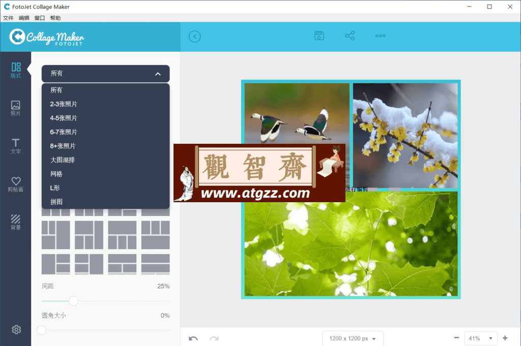 FotoJet Collage Maker v1.0 图片拼接工具-观智斋电商课程站