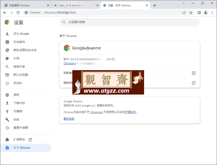 Google Chrome 谷歌浏览器v125.0.6422.142增强版-观智斋电商课程站