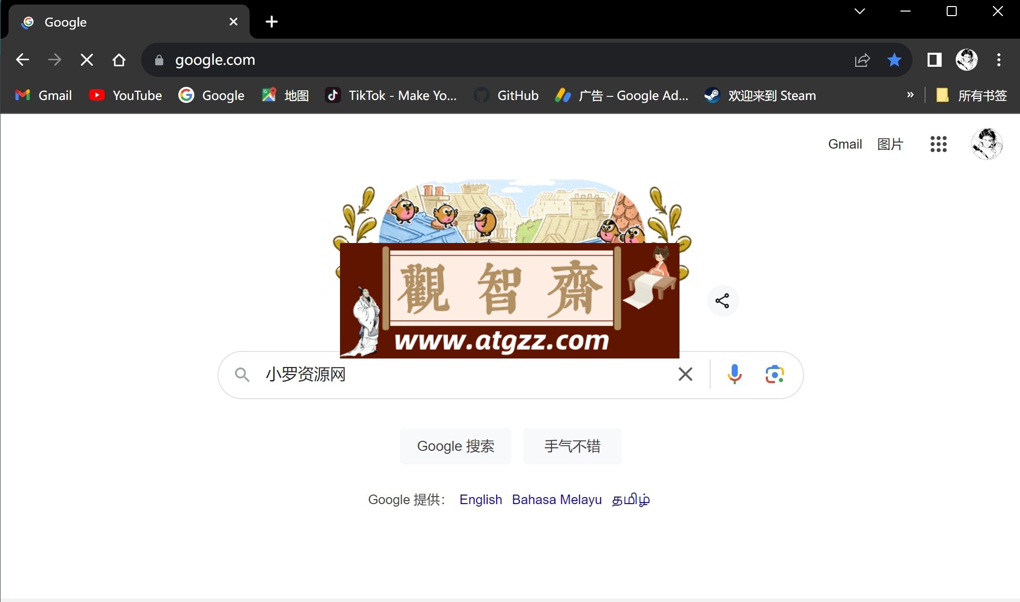谷歌浏览器 Chrome v127.0.6533.73 增强免装版-观智斋电商课程站