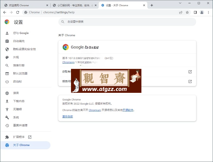Google Chrome 谷歌浏览器v133.0.6943.60增强版-观智斋电商课程站