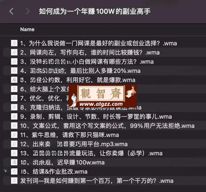 如何成为一个年赚100万的副业高手-观智斋电商课程站