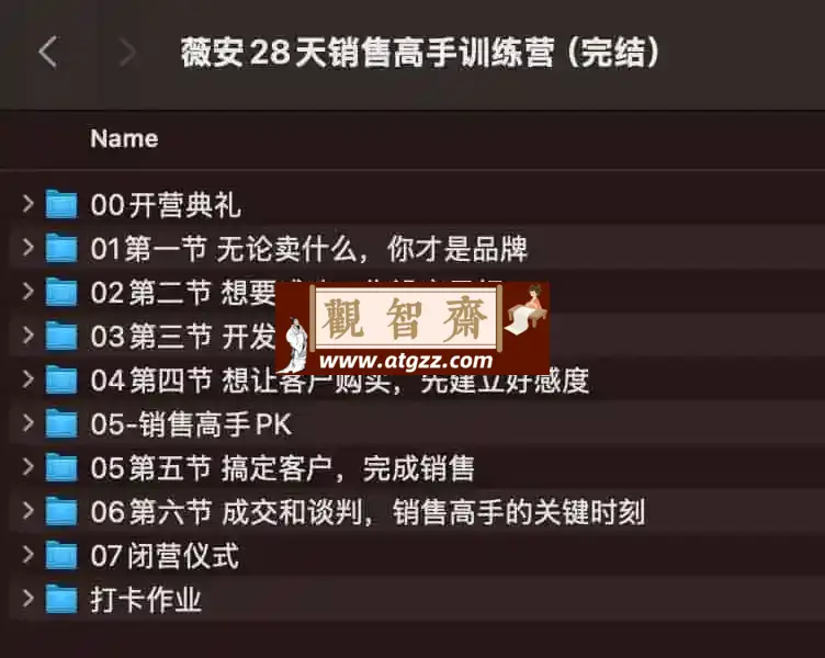 薇安28天销售高手训练营-观智斋电商课程站
